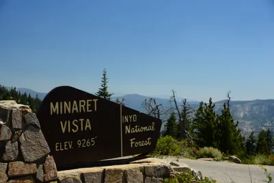 DSC_0259 (Large).JPG